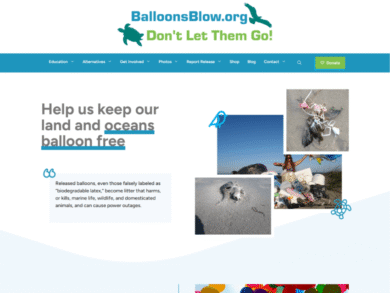 <center>Nonprofit - Pollution</center> Summer colors website snapshot for Balloons Blow
