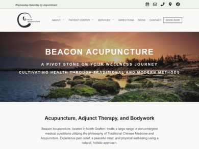 <center>Acupuncture Services</center> Website snapshot of acupuncture website