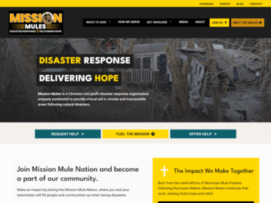 <center>Nonprofit Disaster Response</center> Yellow and black nonprofit website